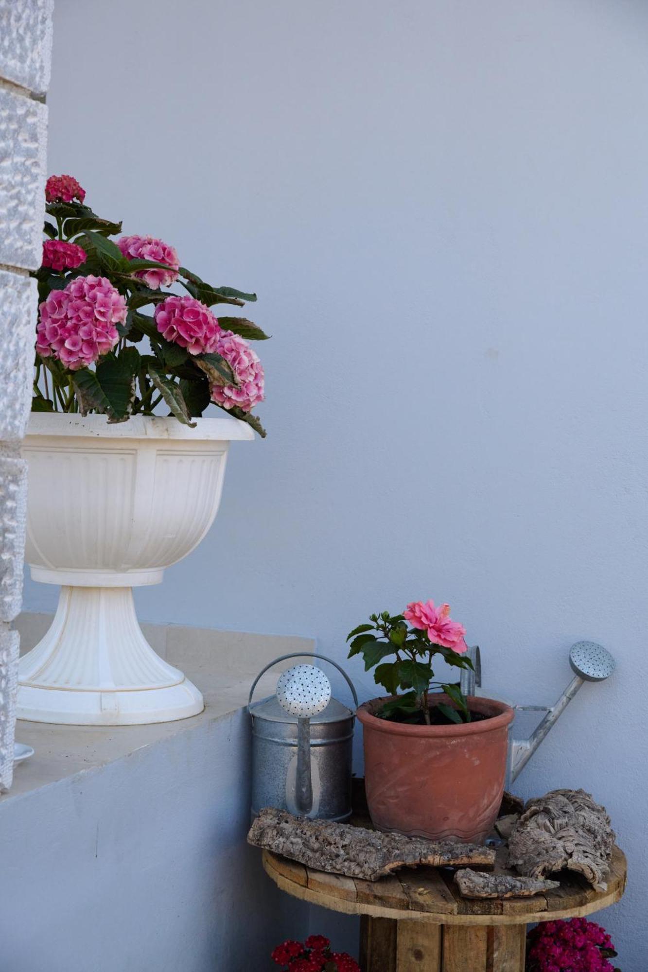 La Familia Luxury Private Maisonettes Near The Sea ギシオ エクステリア 写真